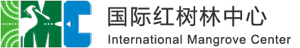 国际红树林中心